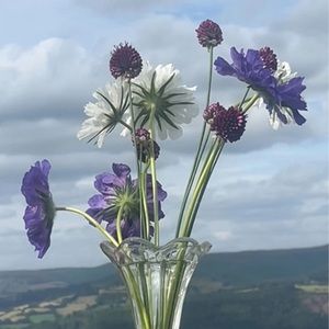 Meet your Posher, Debra